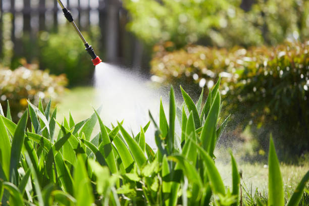 24/7 Emergency Wasp Removal experts in Elgin, IL